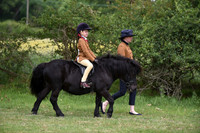 45 Best Lead Rein Pony