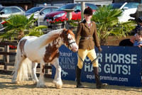 Class 3 - Young Handler 13-18yrs