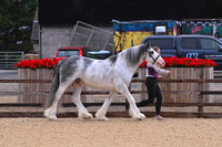 Class 8 In Hand Cob