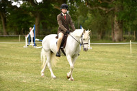 61 Riding Pony