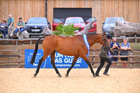 FFRC Showing CCR Equestrian 27.07.2025