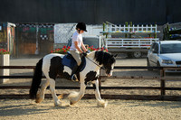 Class 8 - Prettiest Mare