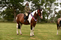 51-54 Coloured Classes inc Champs